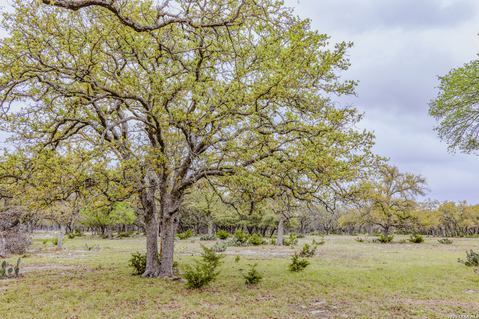 Tbd Sattler Road Spring Branch TX 78070