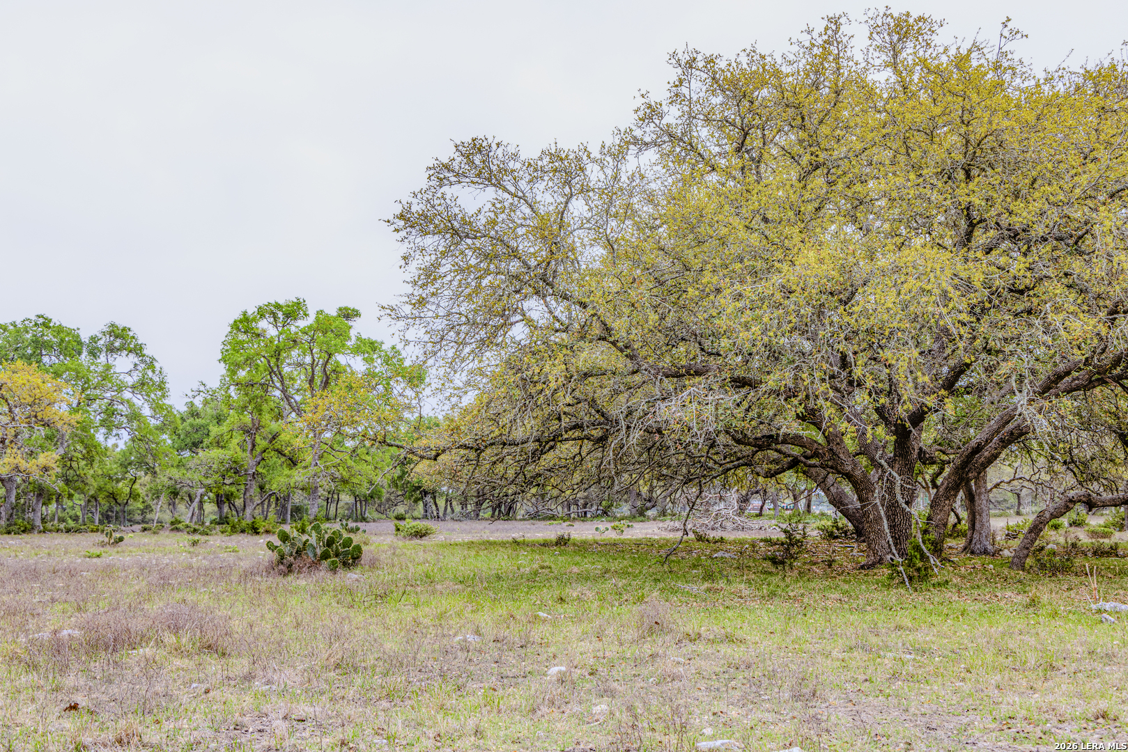 Tbd Sattler Road Spring Branch TX 78070