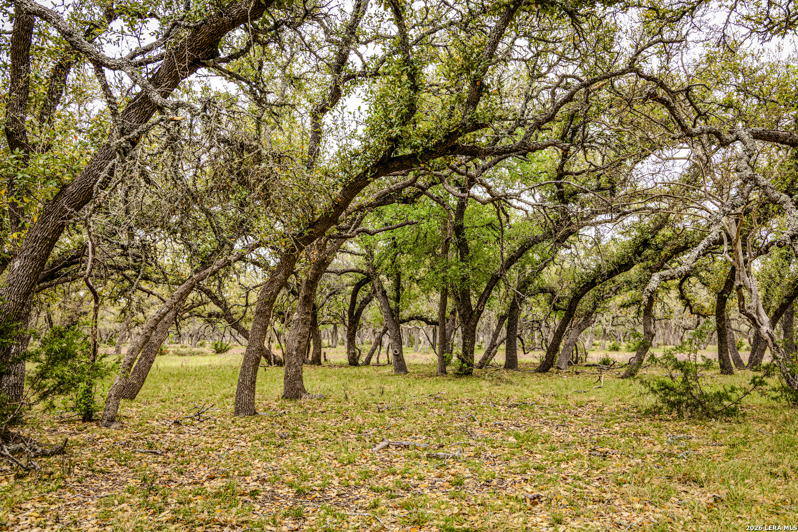 Tbd Sattler Road Spring Branch TX 78070