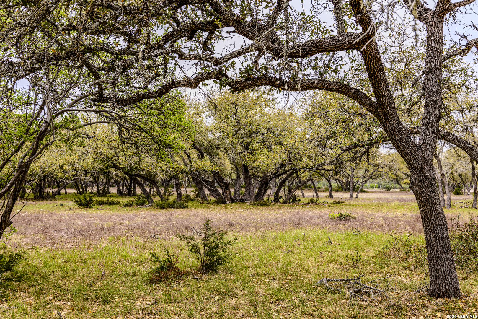 Tbd Sattler Road Spring Branch TX 78070