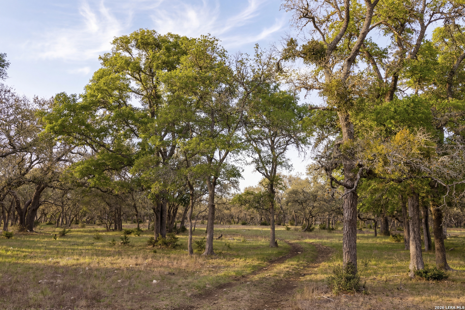 Tbd Sattler Road Spring Branch TX 78070
