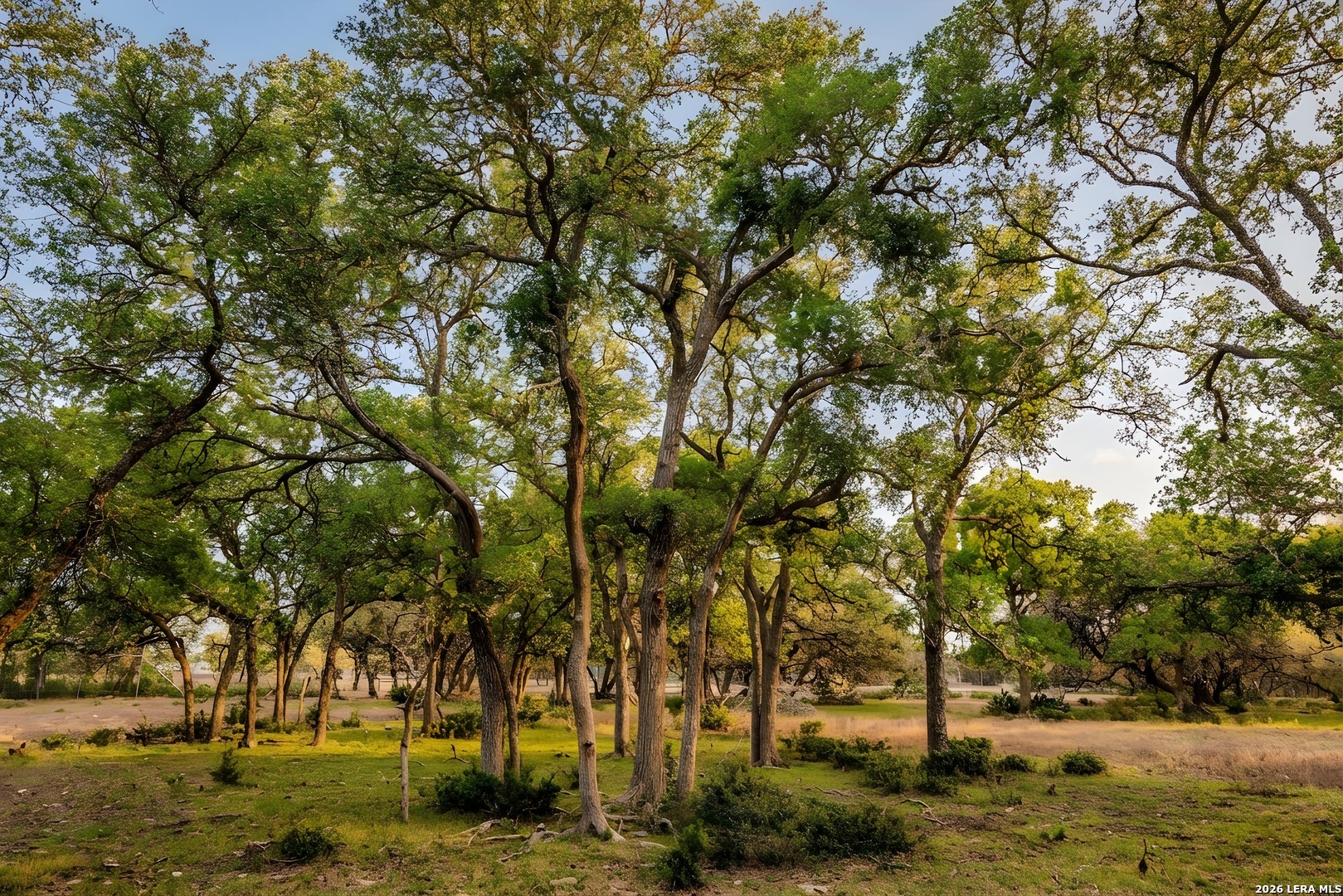 Tbd Sattler Road Spring Branch TX 78070