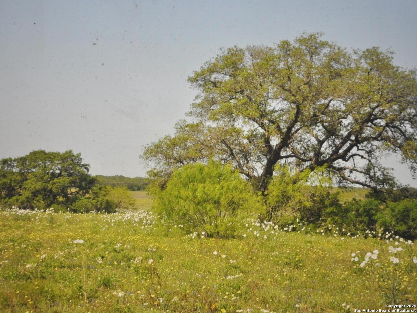 Tbd Cr 2615 Devine TX 78016