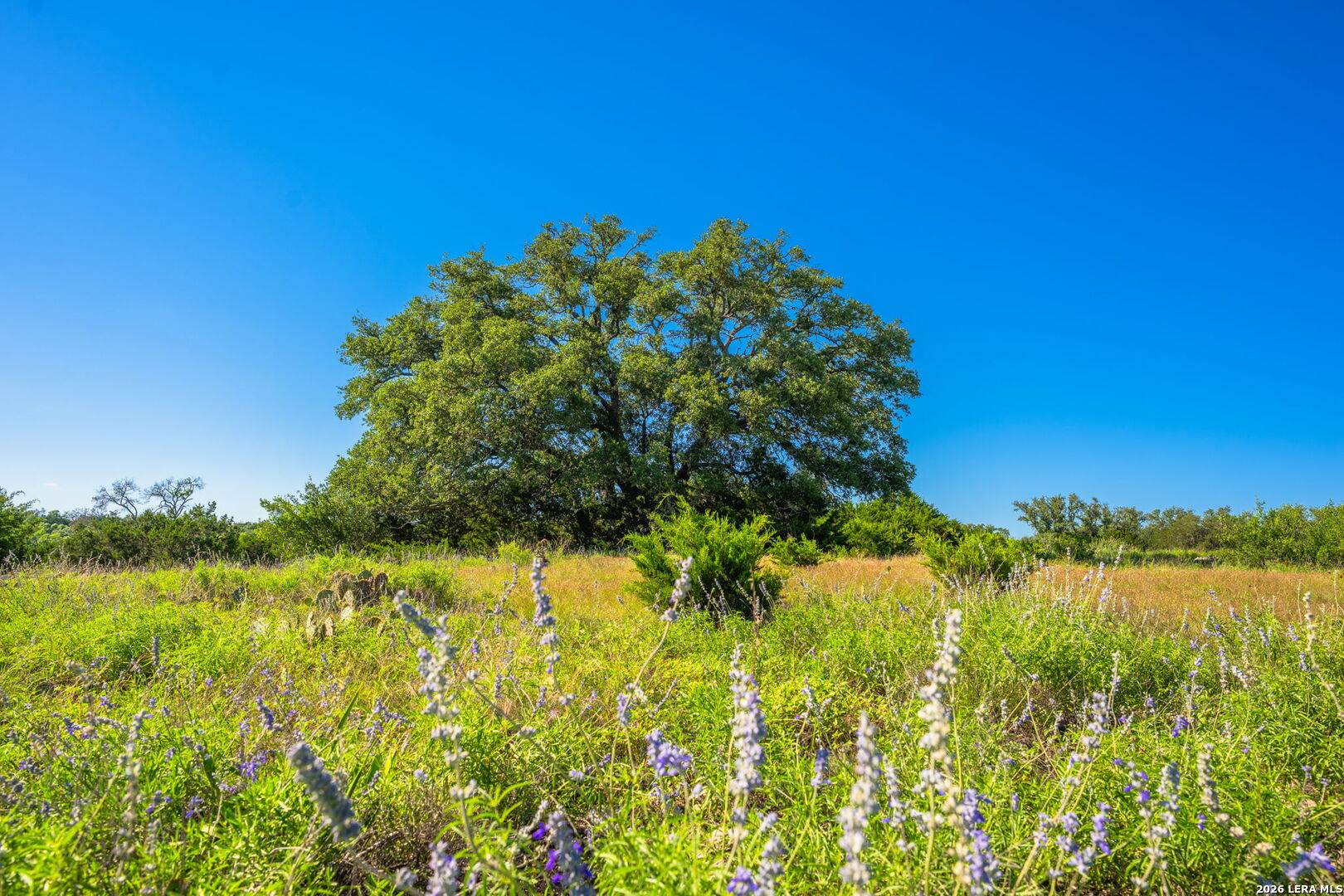0A Fm 2093 Fredericksburg TX 78624
