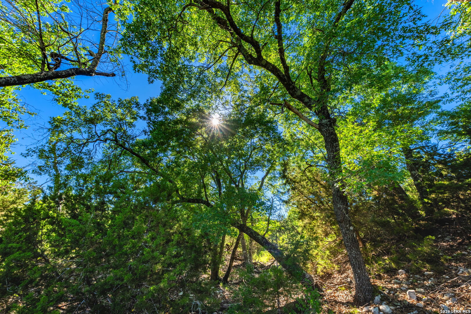 0A Fm 2093 Fredericksburg TX 78624