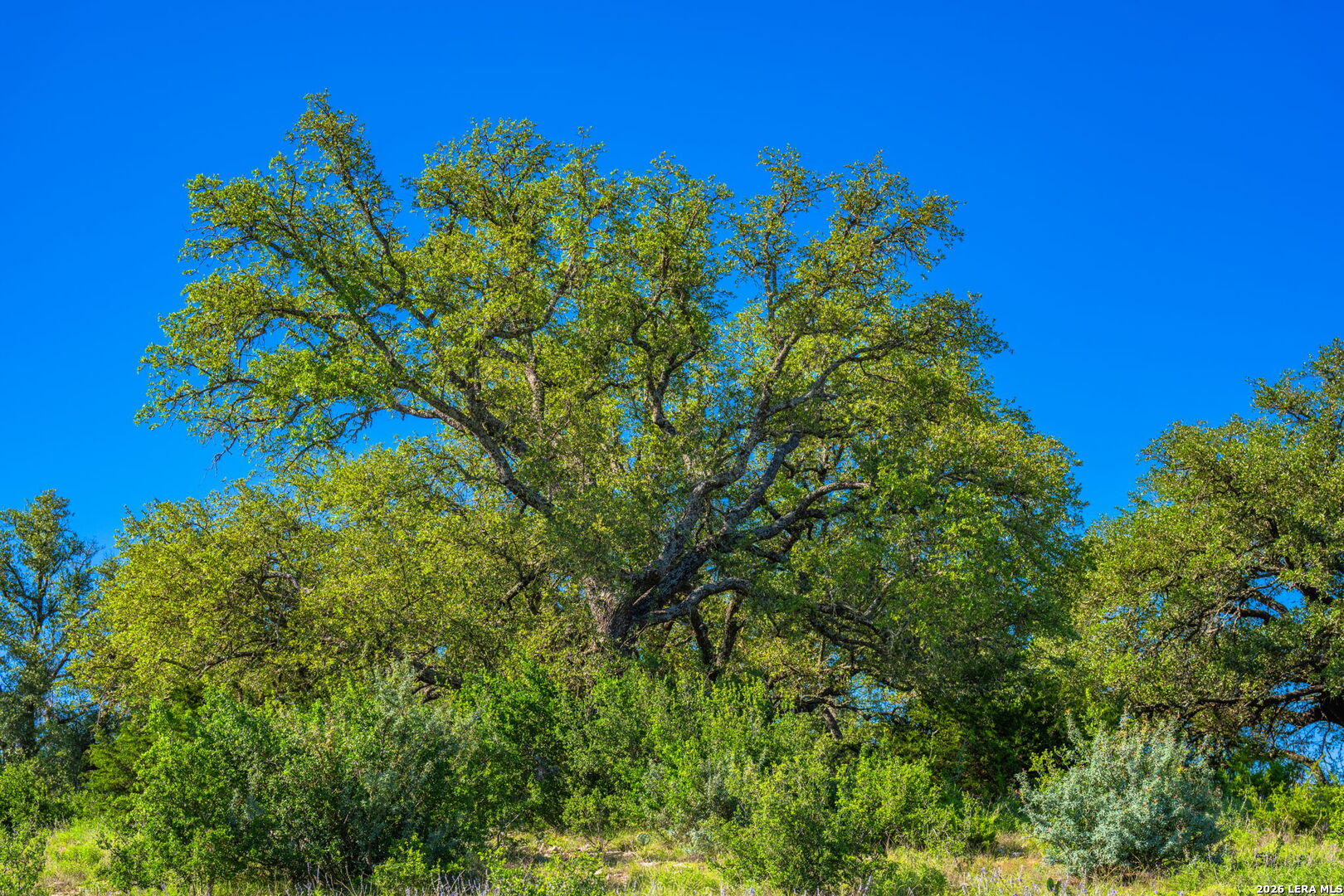 0A Fm 2093 Fredericksburg TX 78624