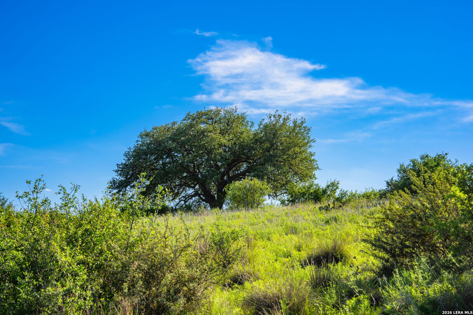 0A Fm 2093 Fredericksburg TX 78624