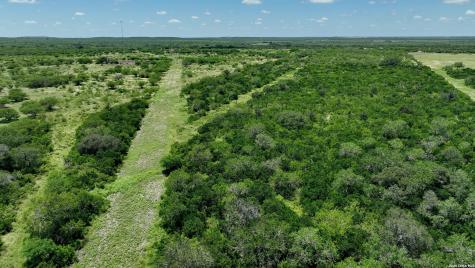 114 Acres County Road 199 Karnes City TX 78118
