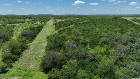 114 Acres County Road 199 Karnes City TX 78118