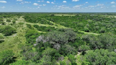 114 Acres County Road 199 Karnes City TX 78118