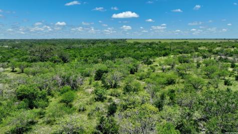 114 Acres County Road 199 Karnes City TX 78118