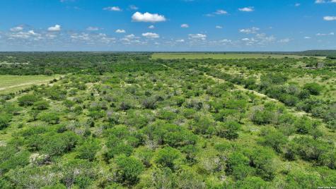 114 Acres County Road 199 Karnes City TX 78118