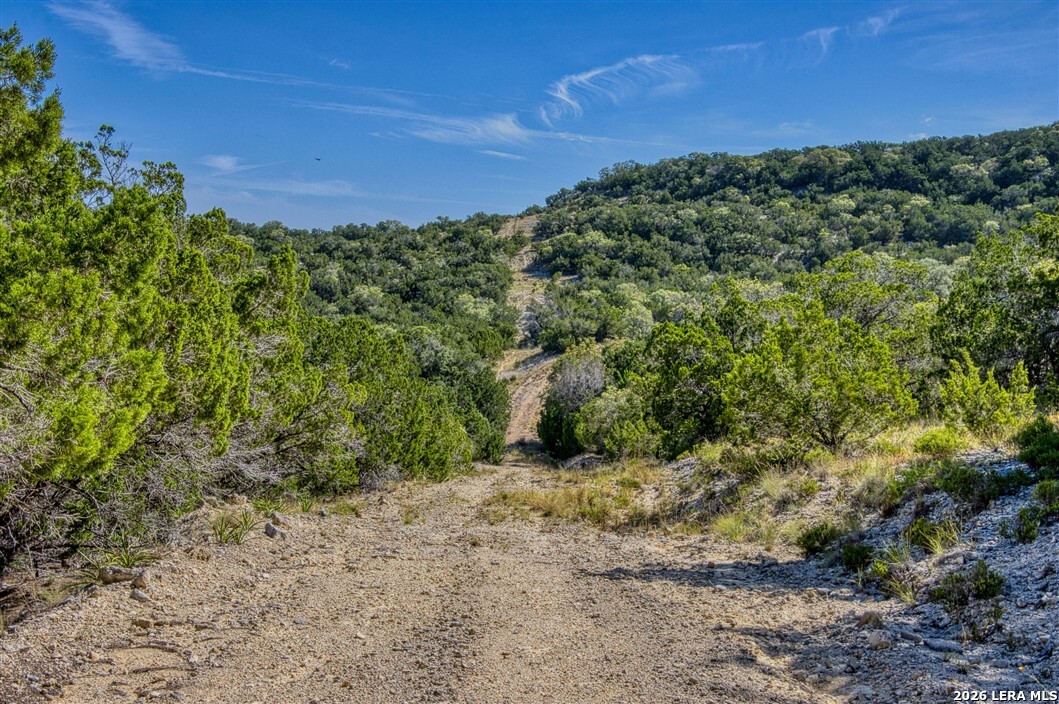 1316 Indian Creek Bandera TX 78003