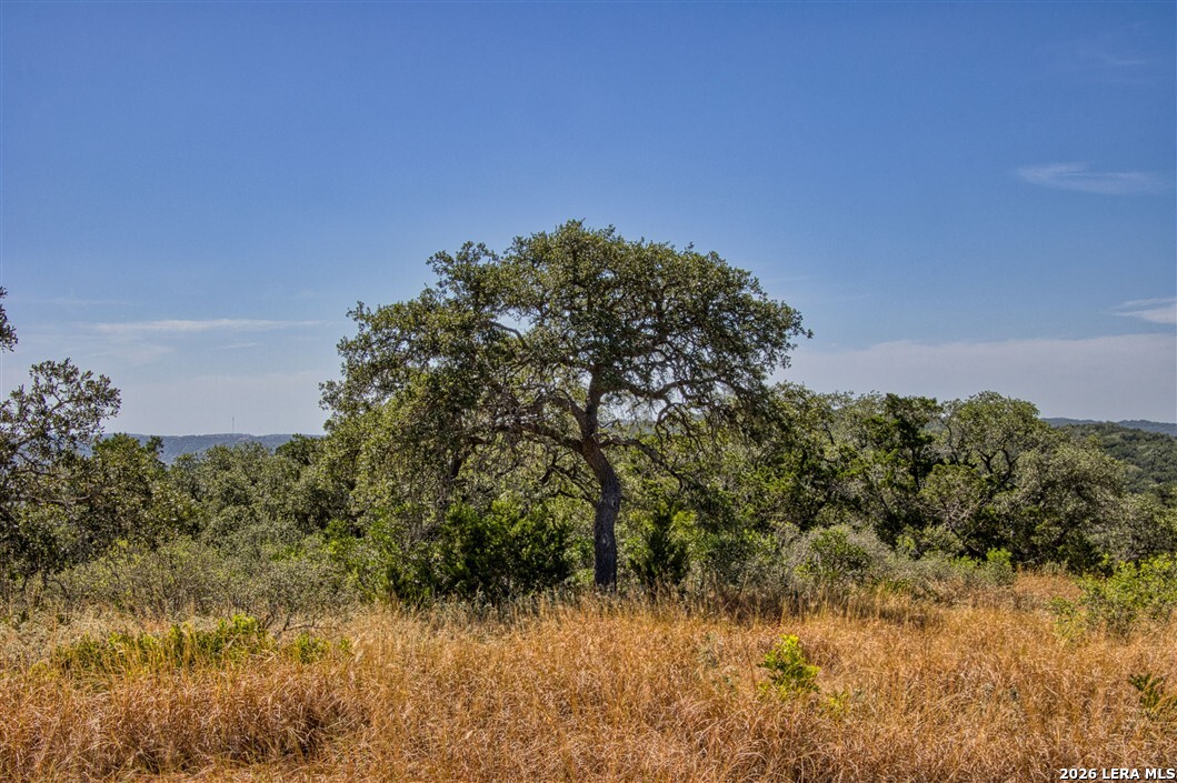 1316 Indian Creek Bandera TX 78003