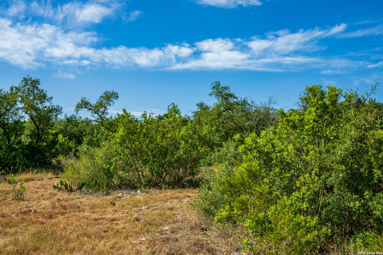 1850 Pr 2331 Hondo TX 78861