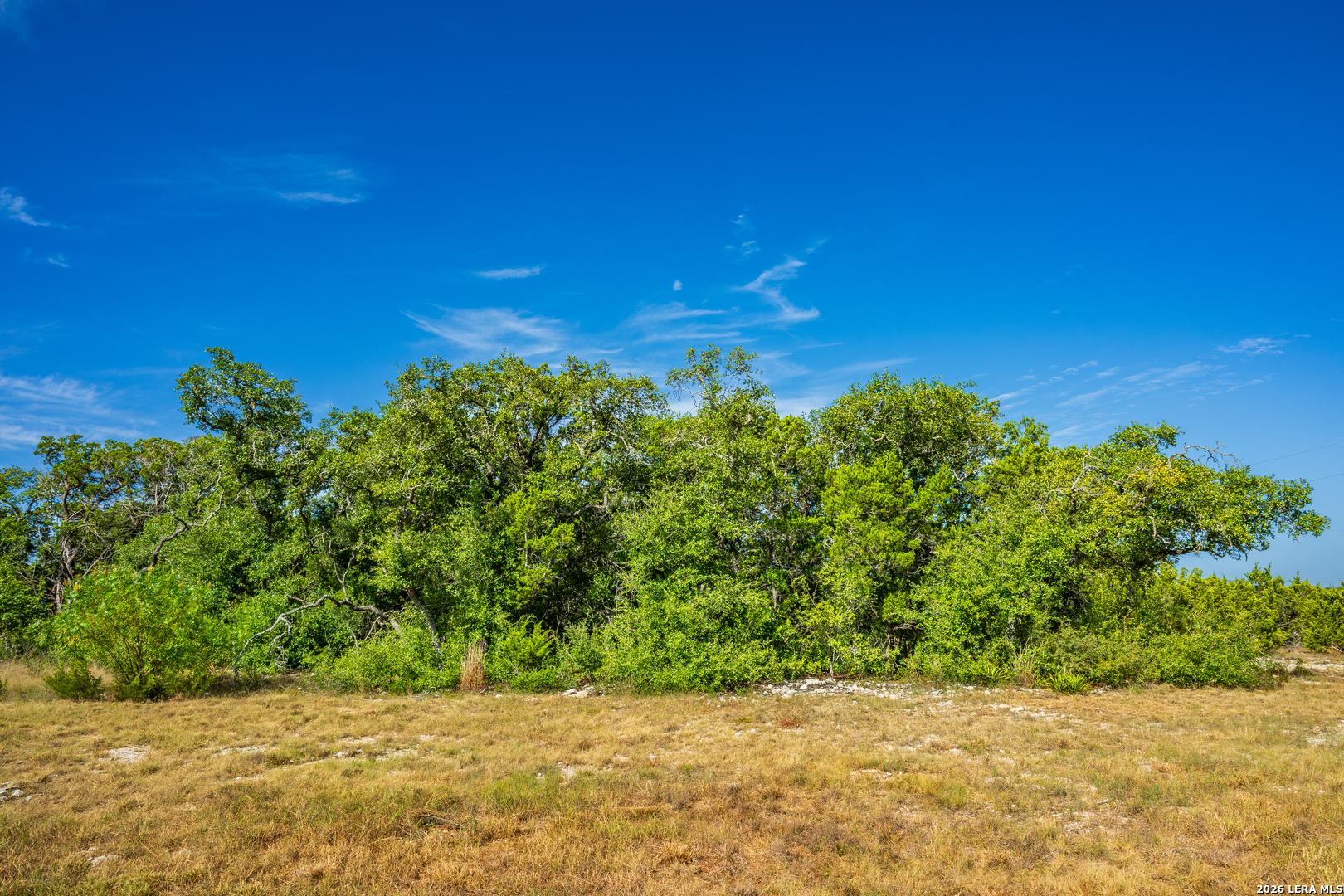 1850 Pr 2331 Hondo TX 78861