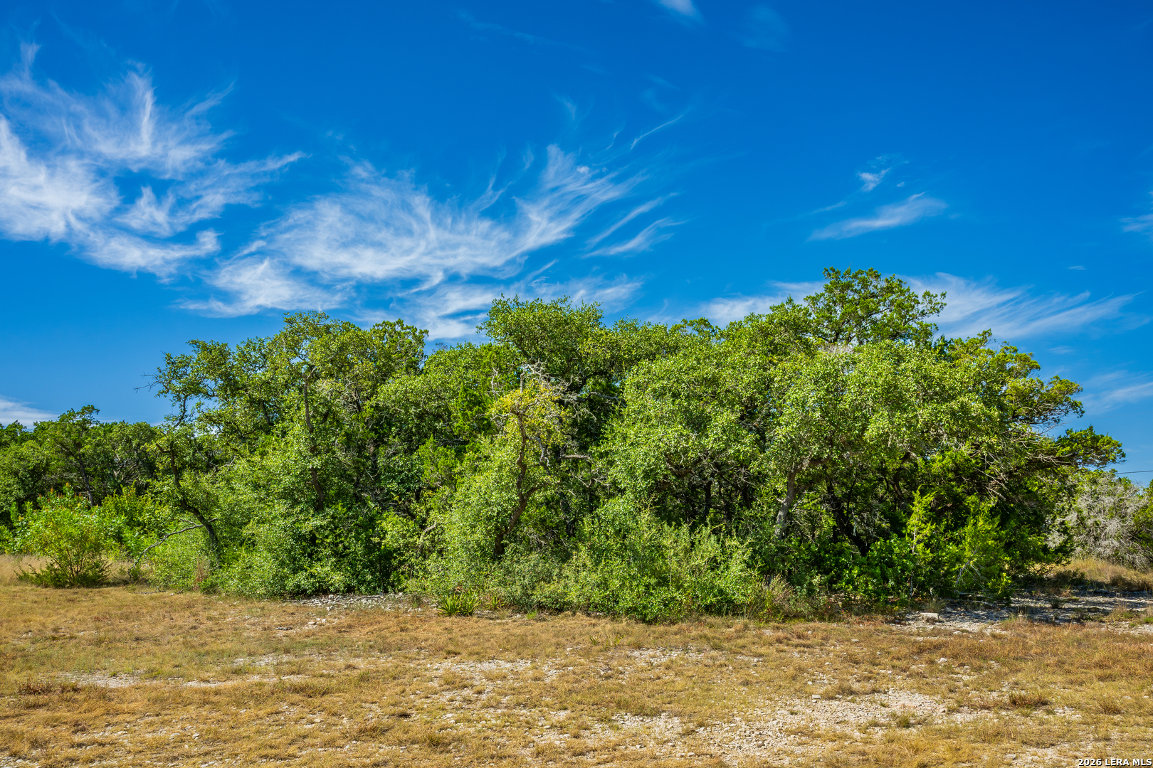 1850 Pr 2331 Hondo TX 78861