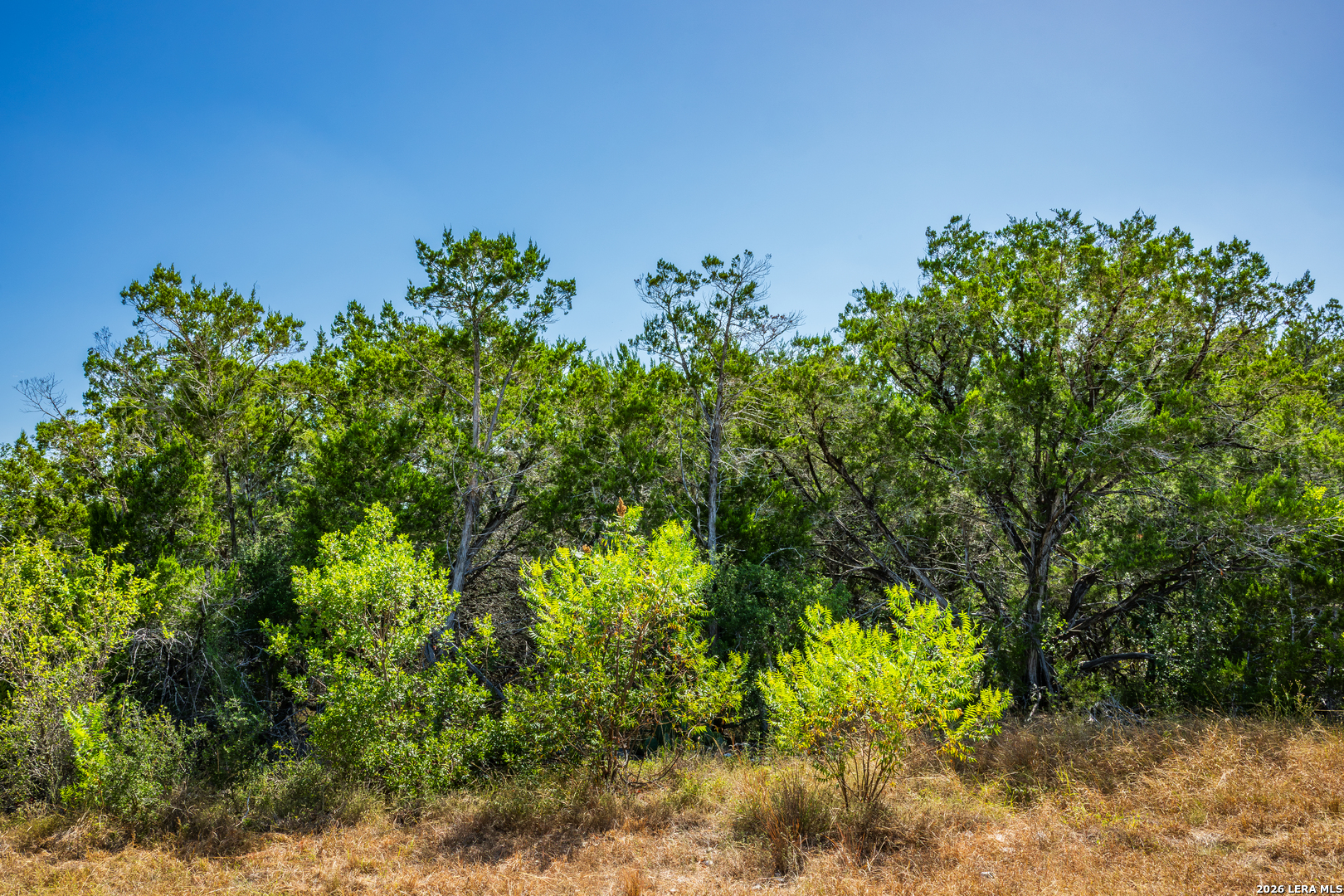 1850 Pr 2331 Hondo TX 78861