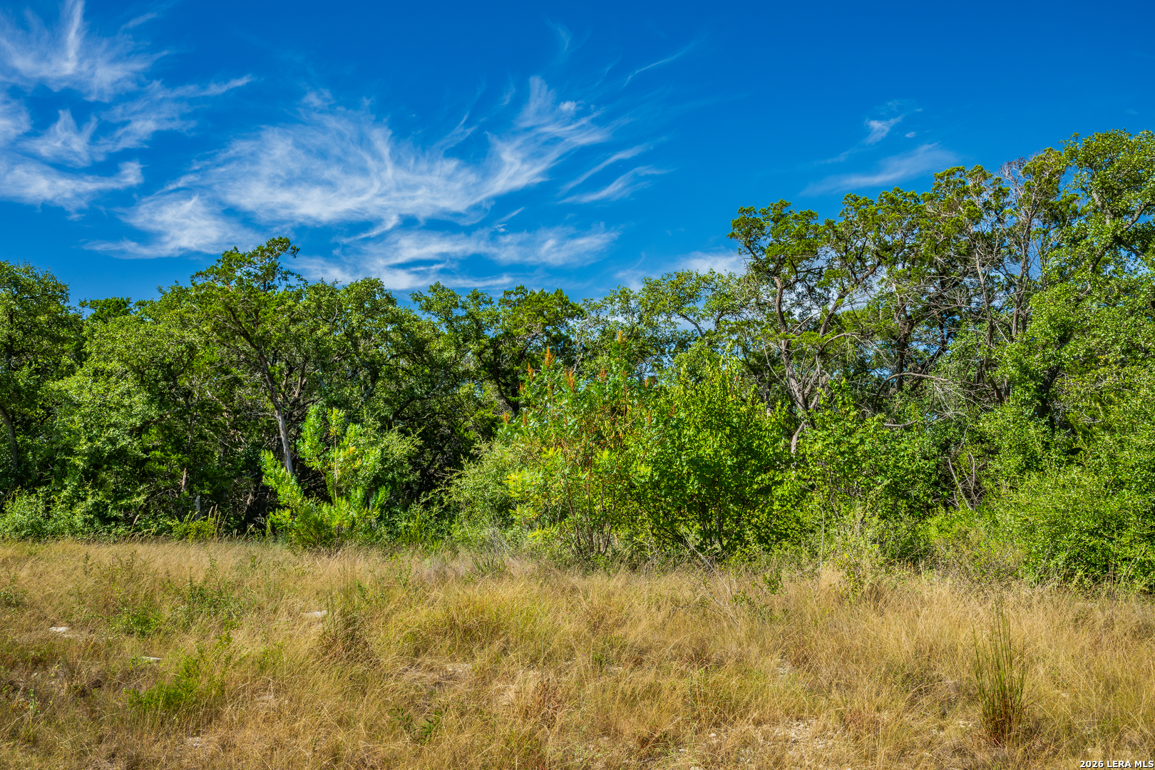 1850 Pr 2331 Hondo TX 78861