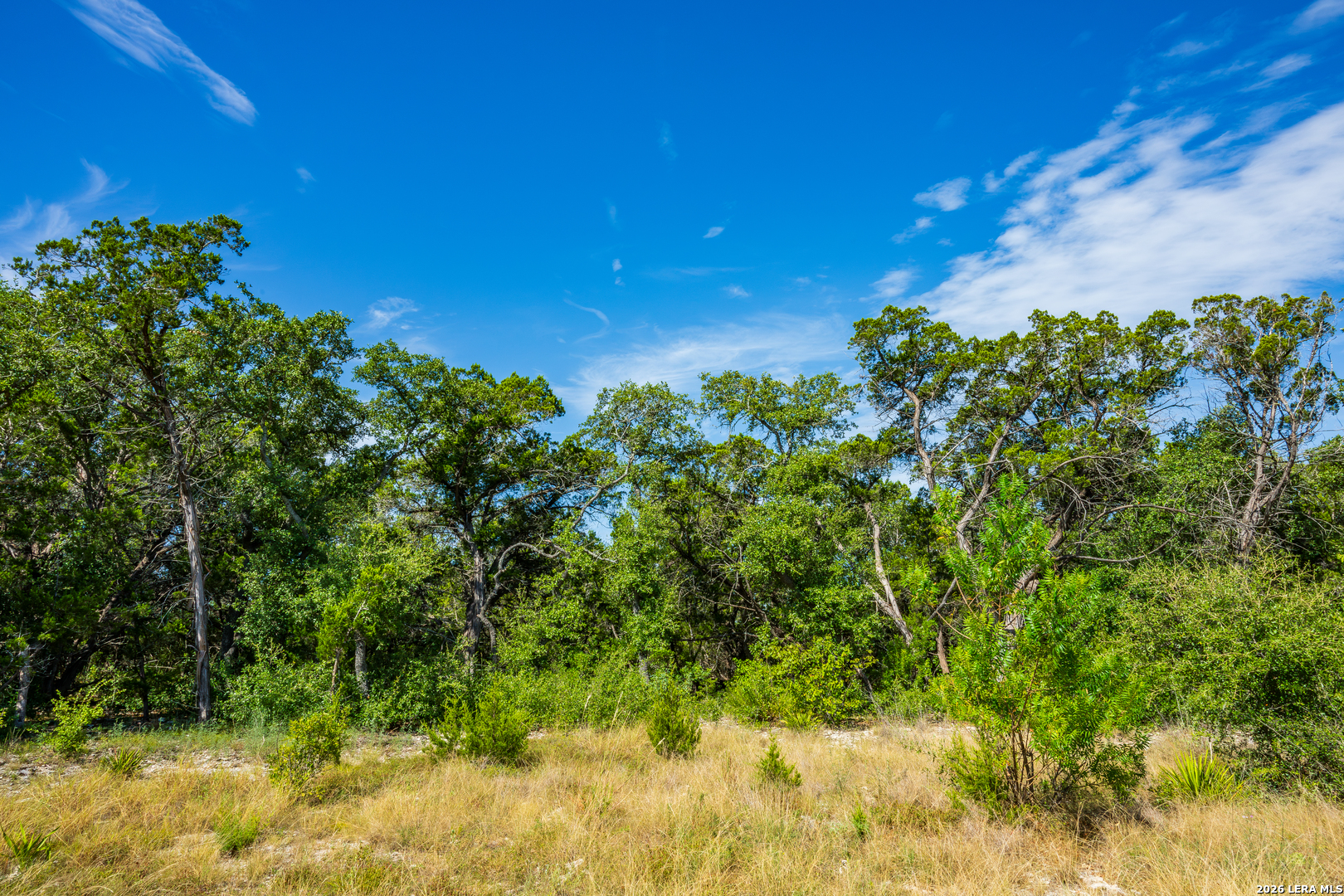 1850 Pr 2331 Hondo TX 78861