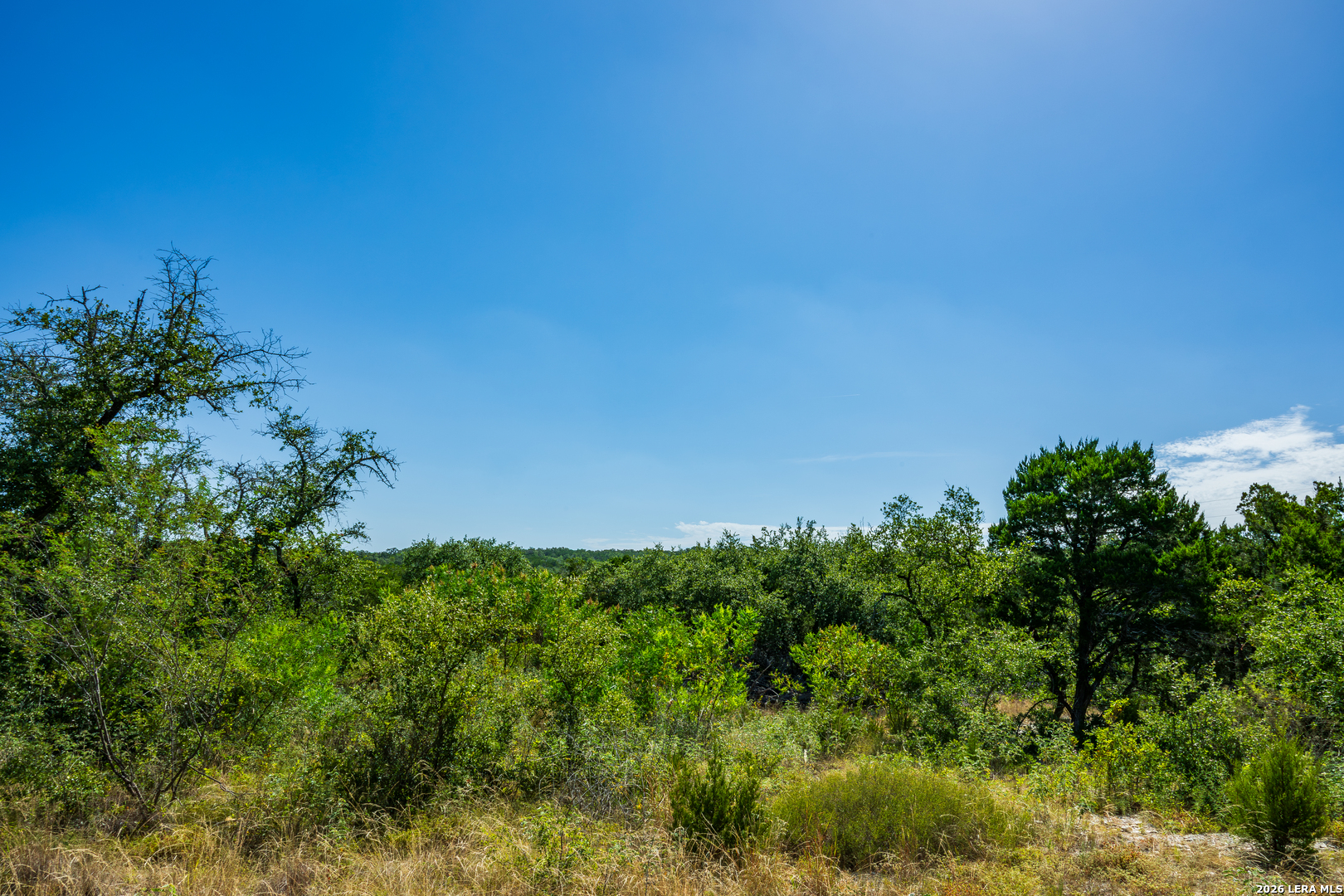 1850 Pr 2331 Hondo TX 78861