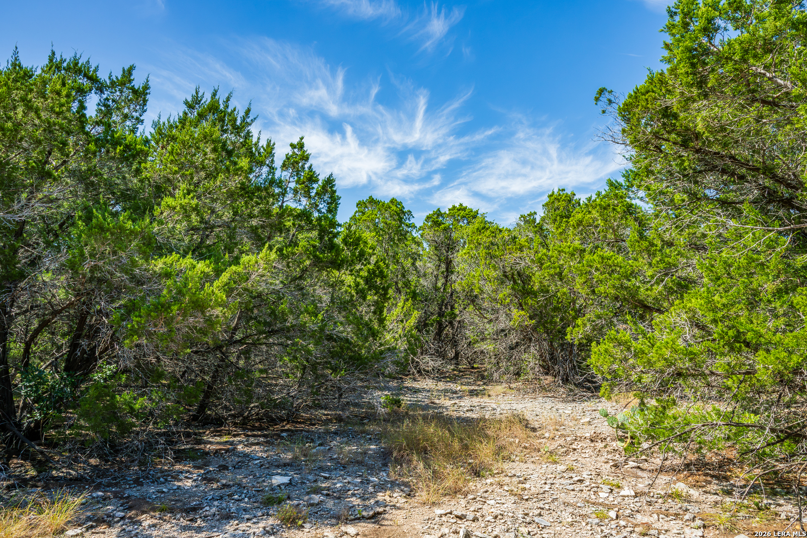 1850 Pr 2331 Hondo TX 78861