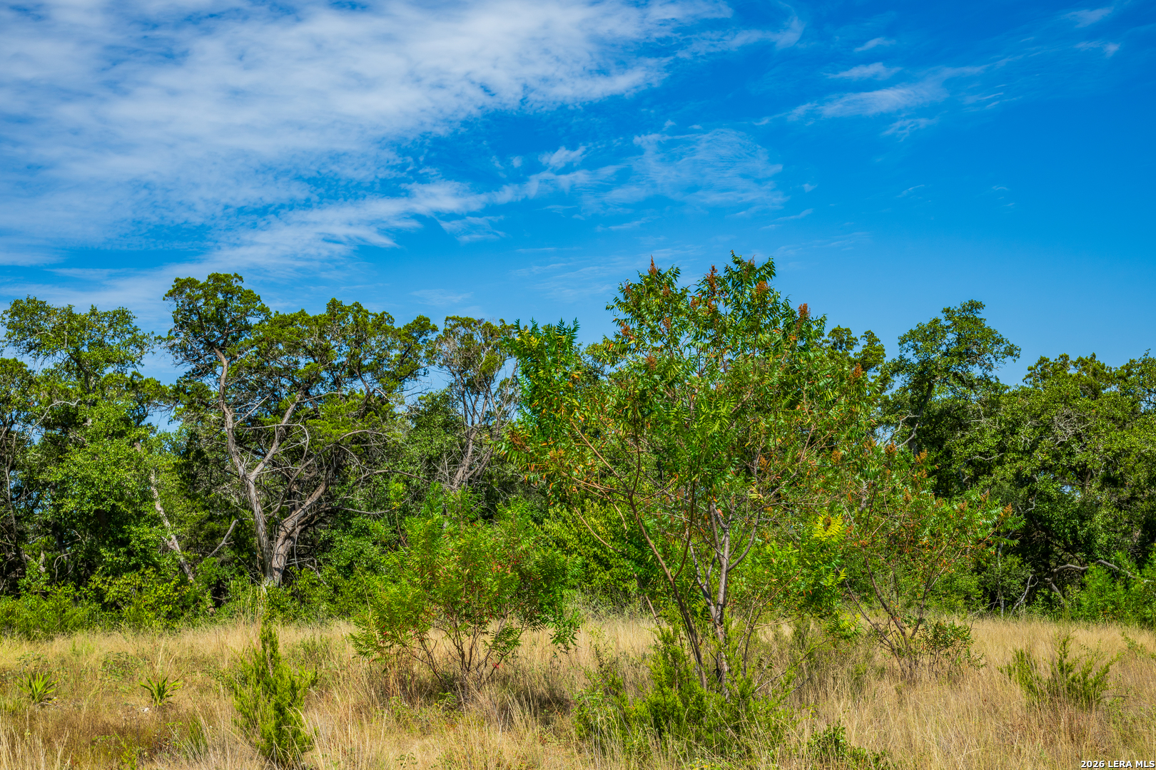 1850 Pr 2331 Hondo TX 78861