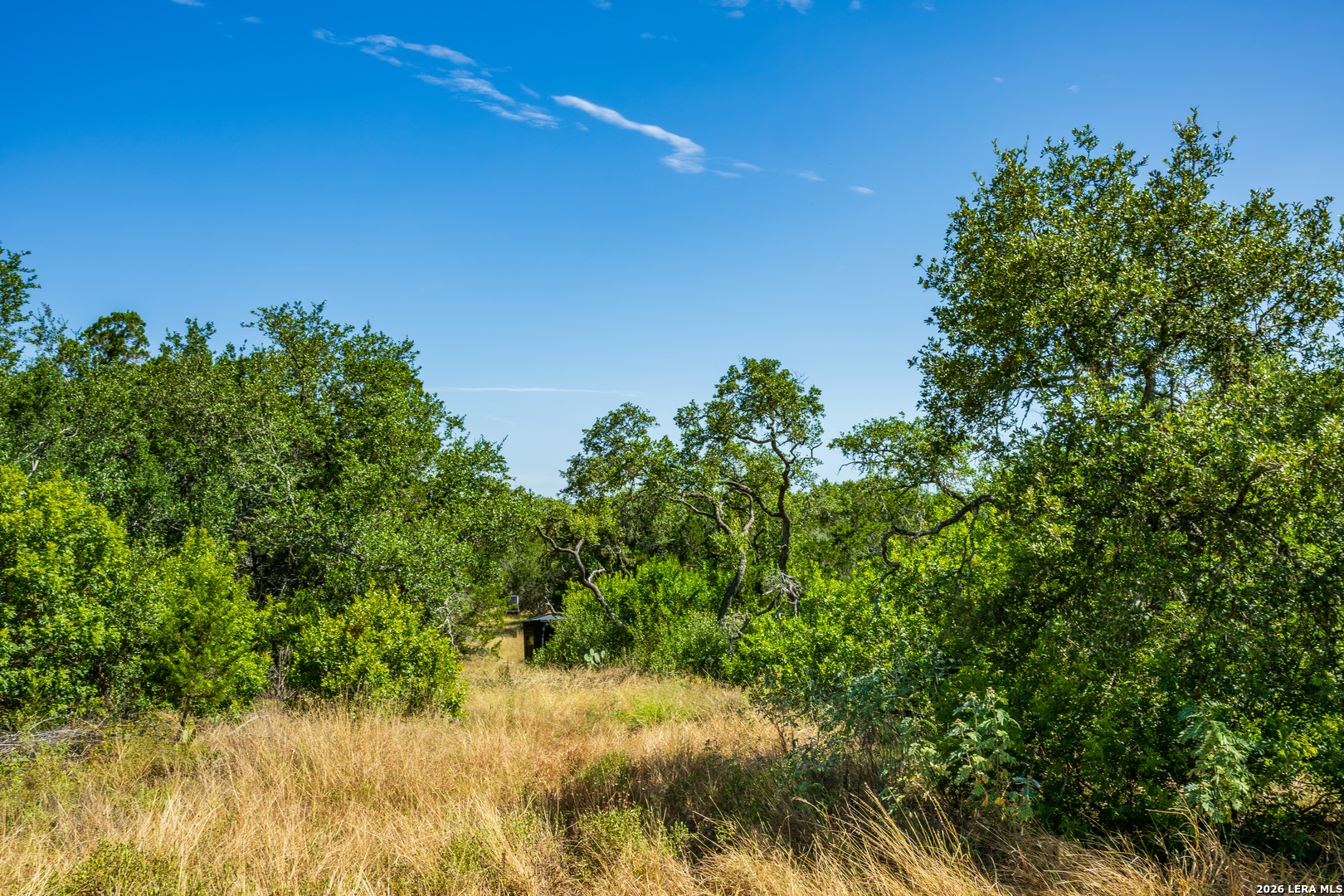 1850 Pr 2331 Hondo TX 78861
