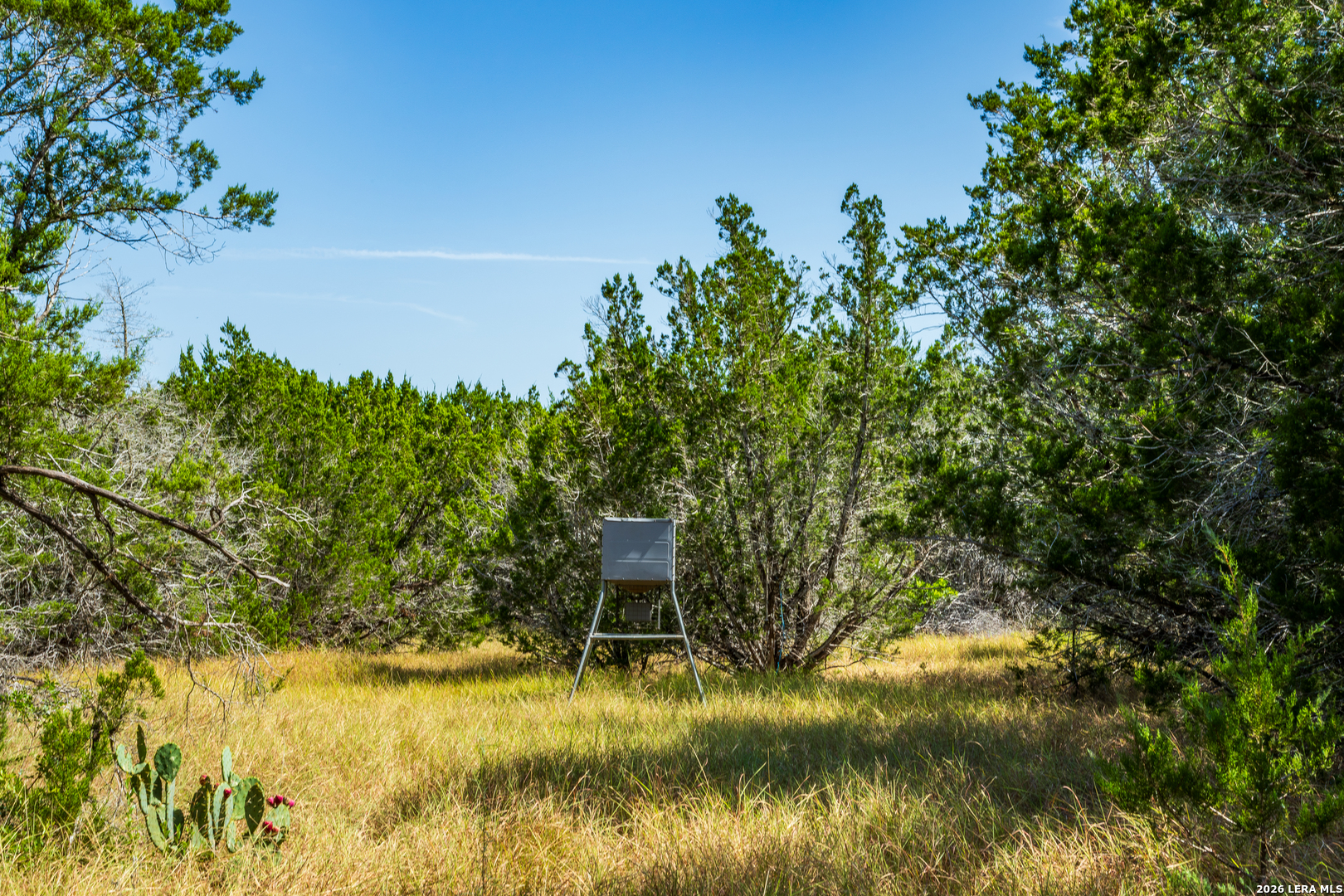 1850 Pr 2331 Hondo TX 78861