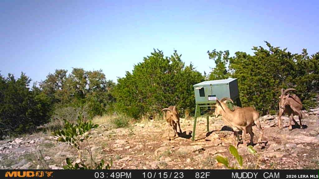 752 Sd 46061 Rocksprings TX 78880