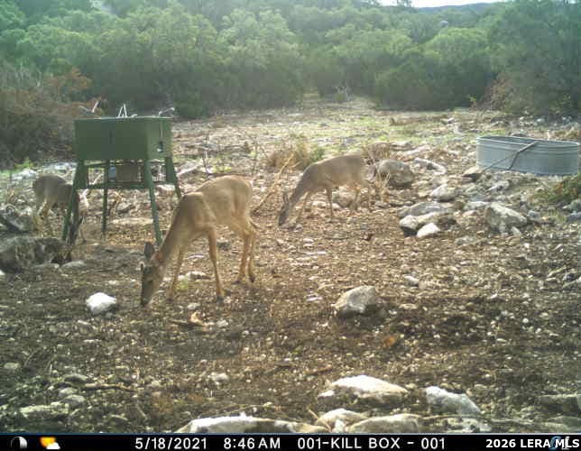 752 Sd 46061 Rocksprings TX 78880