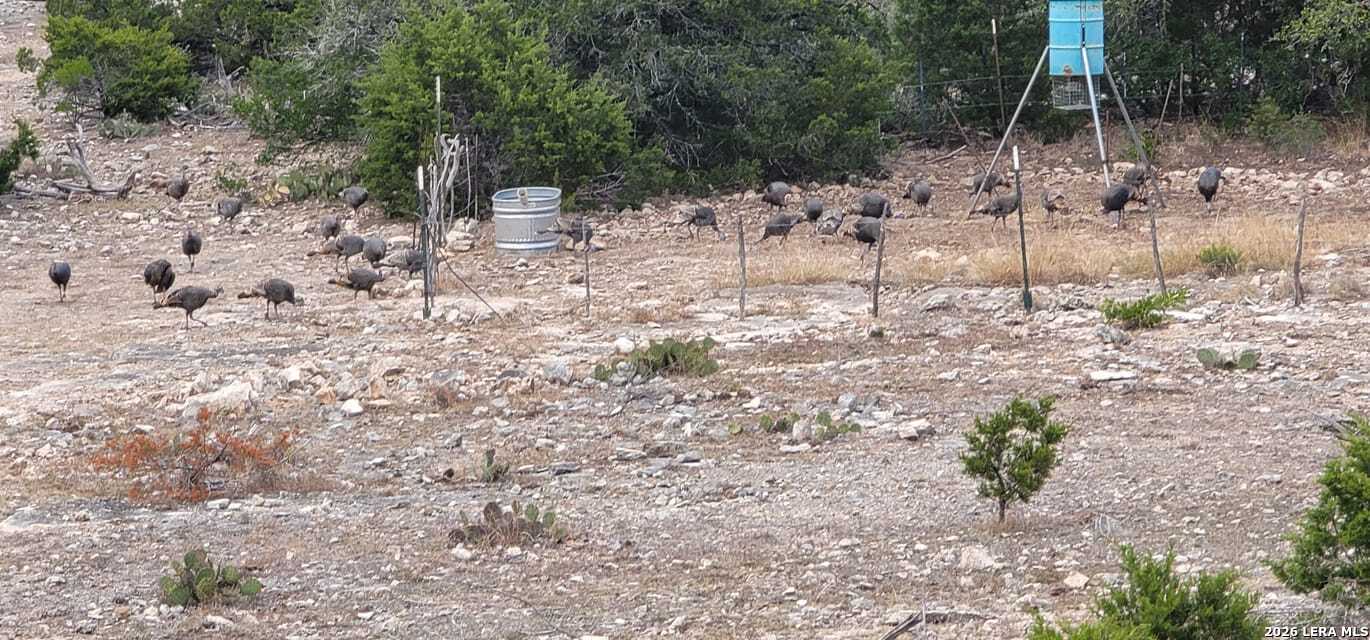 752 Sd 46061 Rocksprings TX 78880