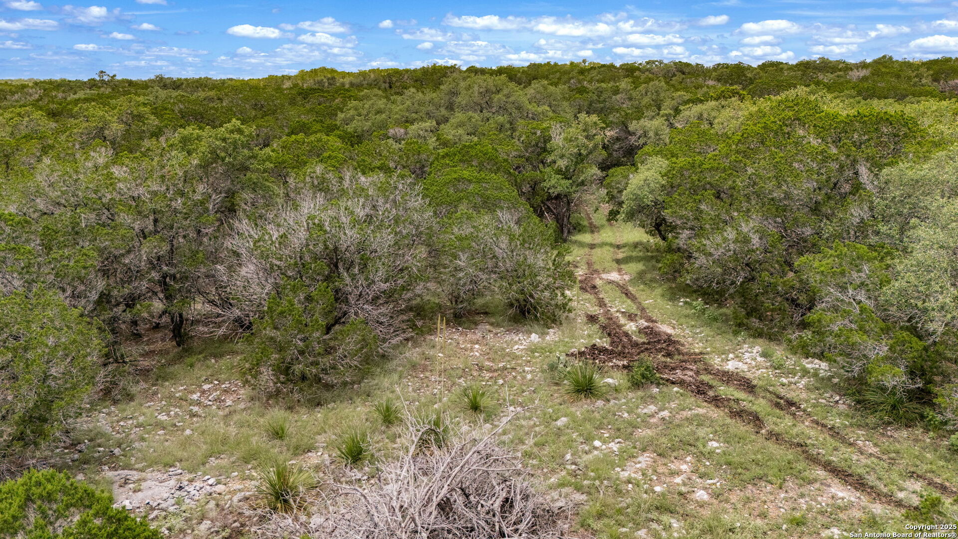 4603 County Road 251 Hondo TX 78861