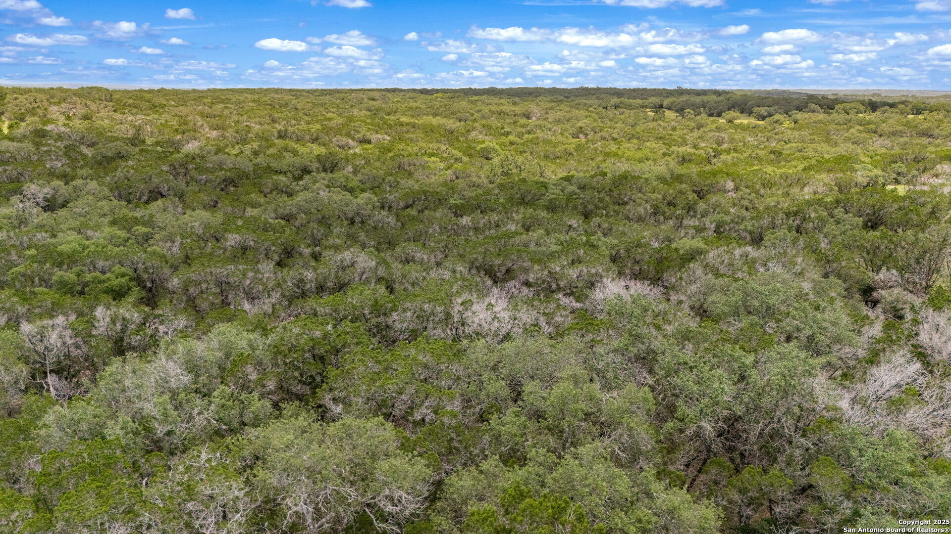 4603 County Road 251 Hondo TX 78861