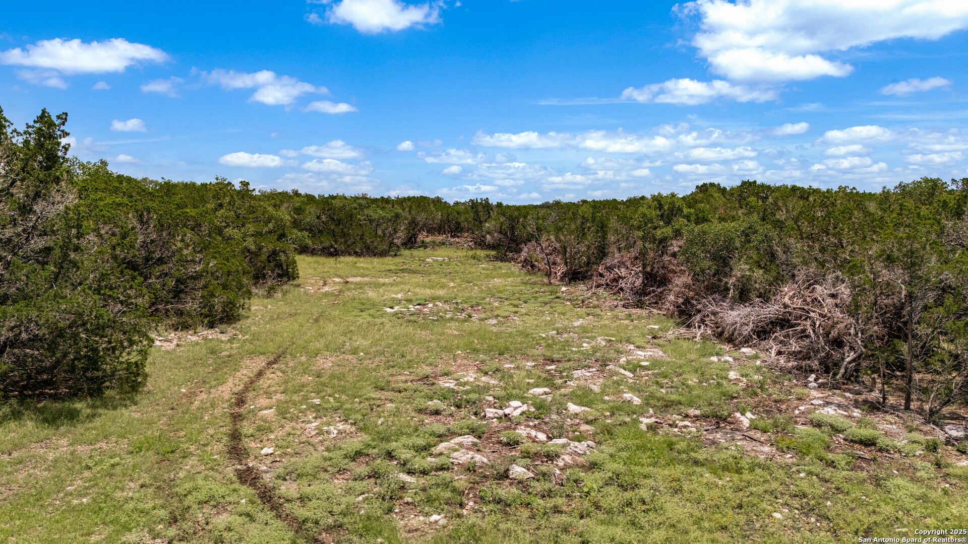 4603 County Road 251 Hondo TX 78861