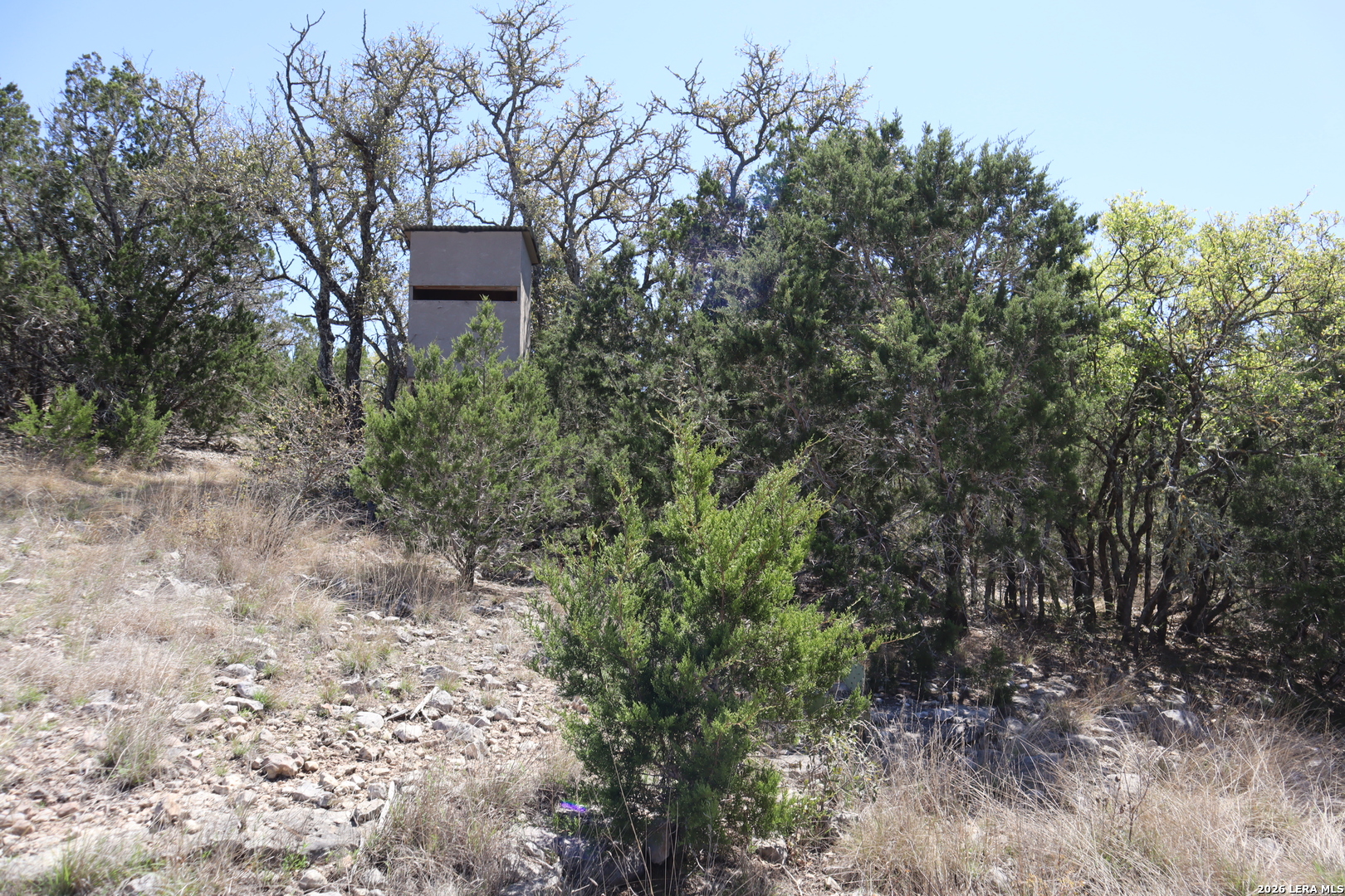 462 Schenk-witkowski Rocksprings TX 78880