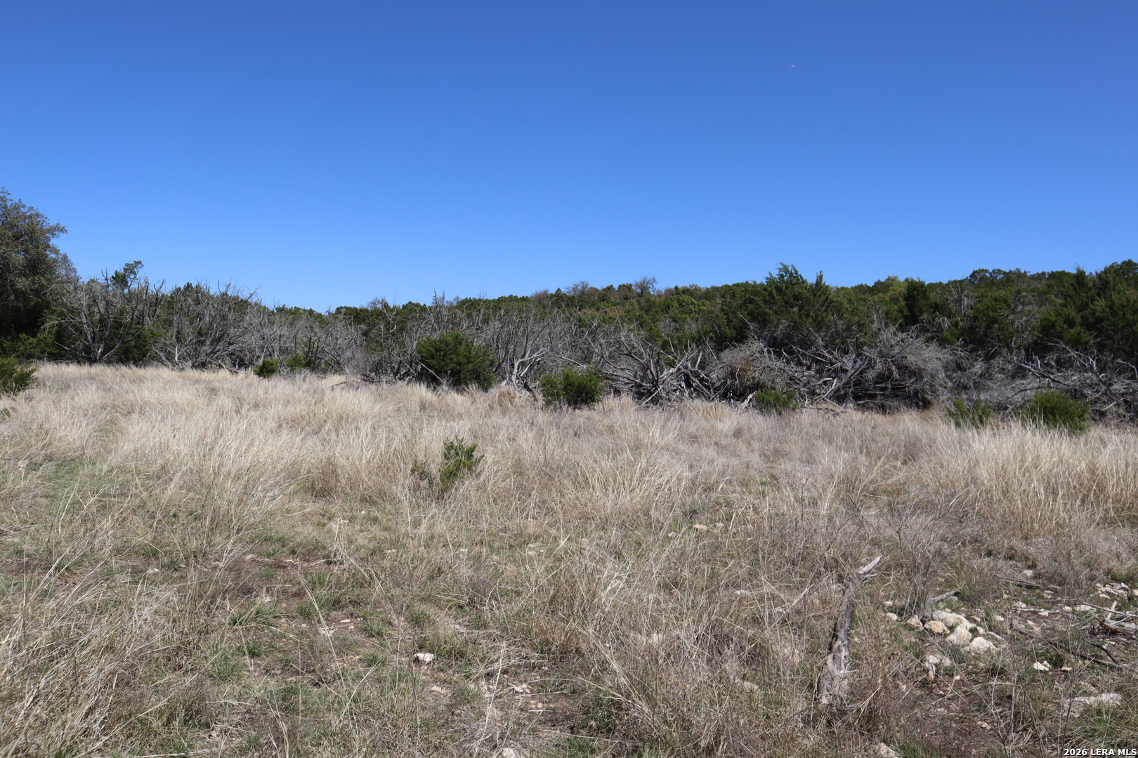 462 Schenk-witkowski Rocksprings TX 78880