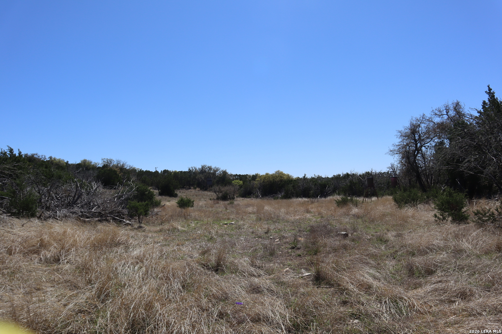 462 Schenk-witkowski Rocksprings TX 78880