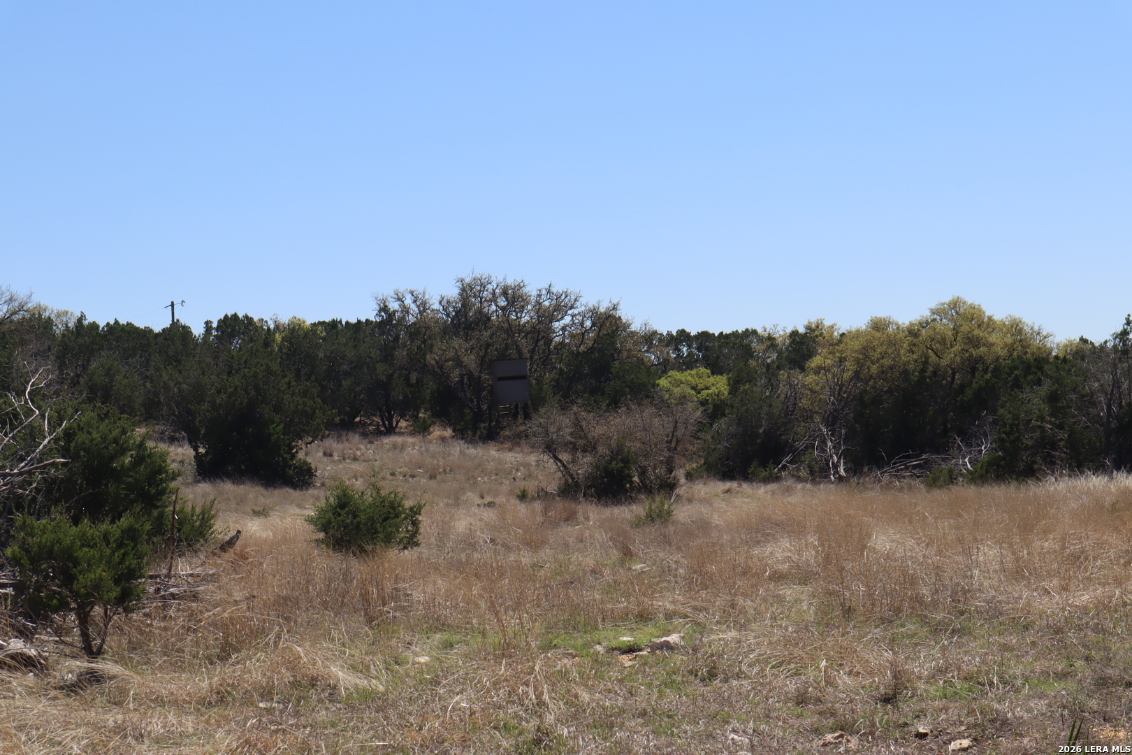 462 Schenk-witkowski Rocksprings TX 78880