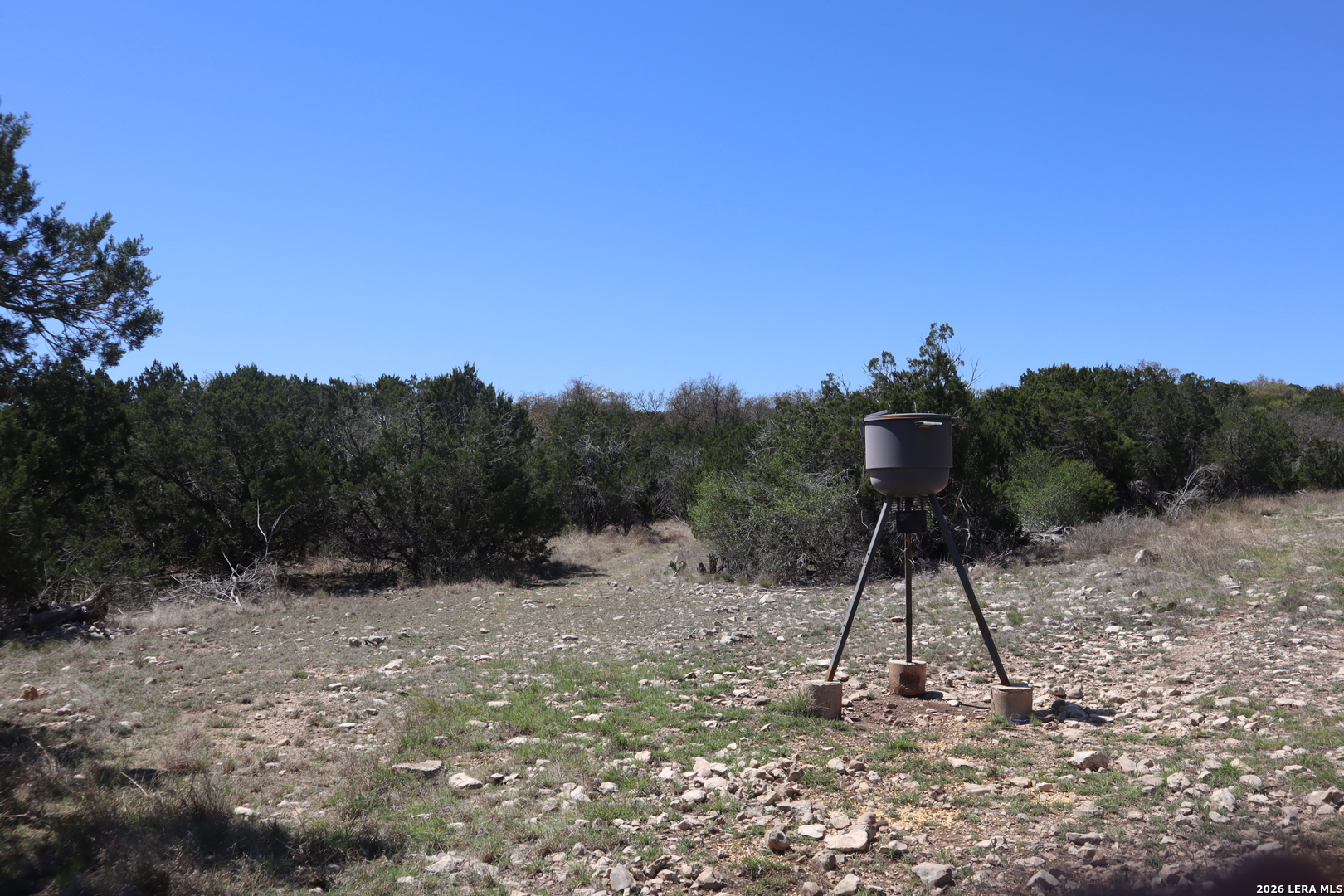 462 Schenk-witkowski Rocksprings TX 78880
