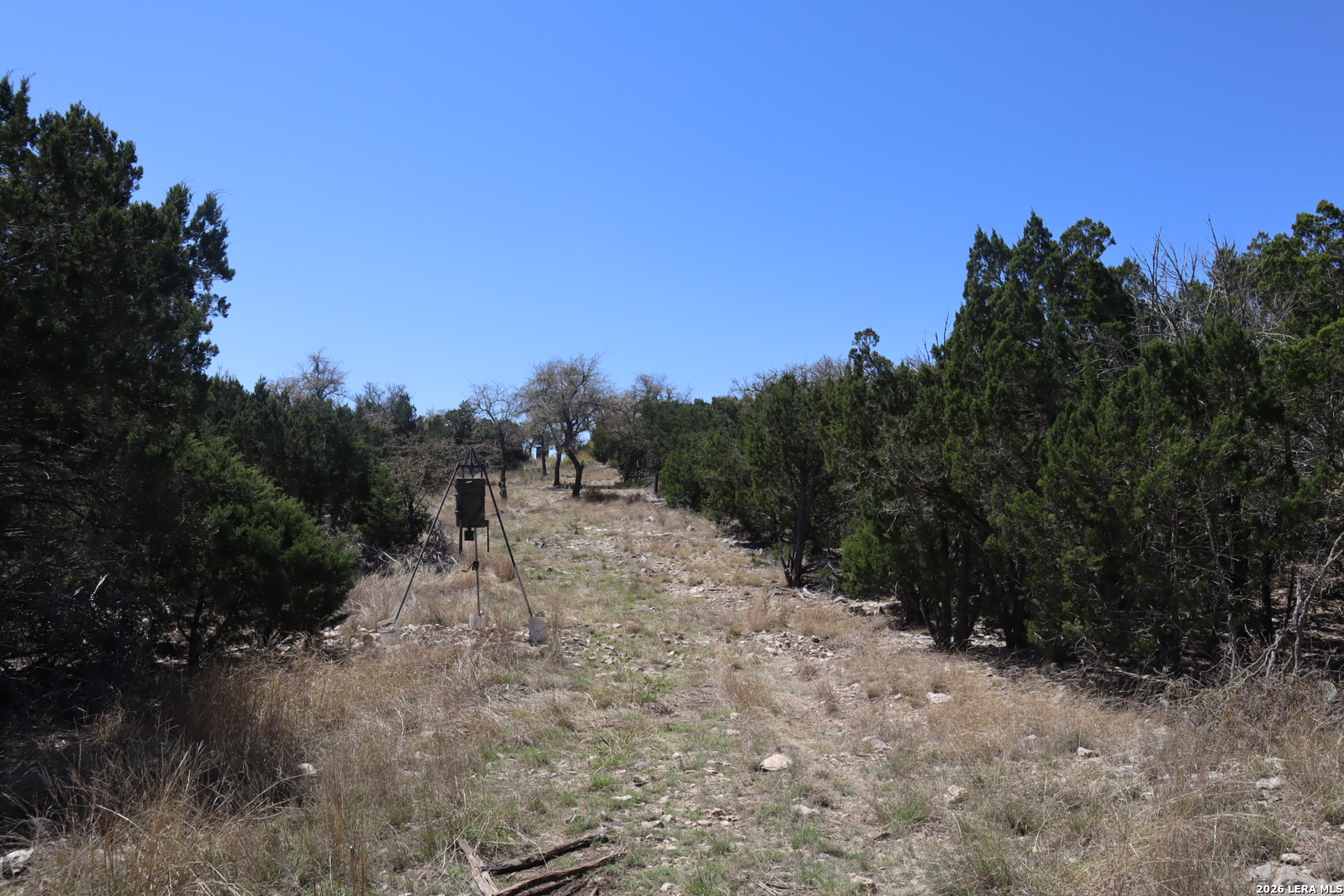 462 Schenk-witkowski Rocksprings TX 78880