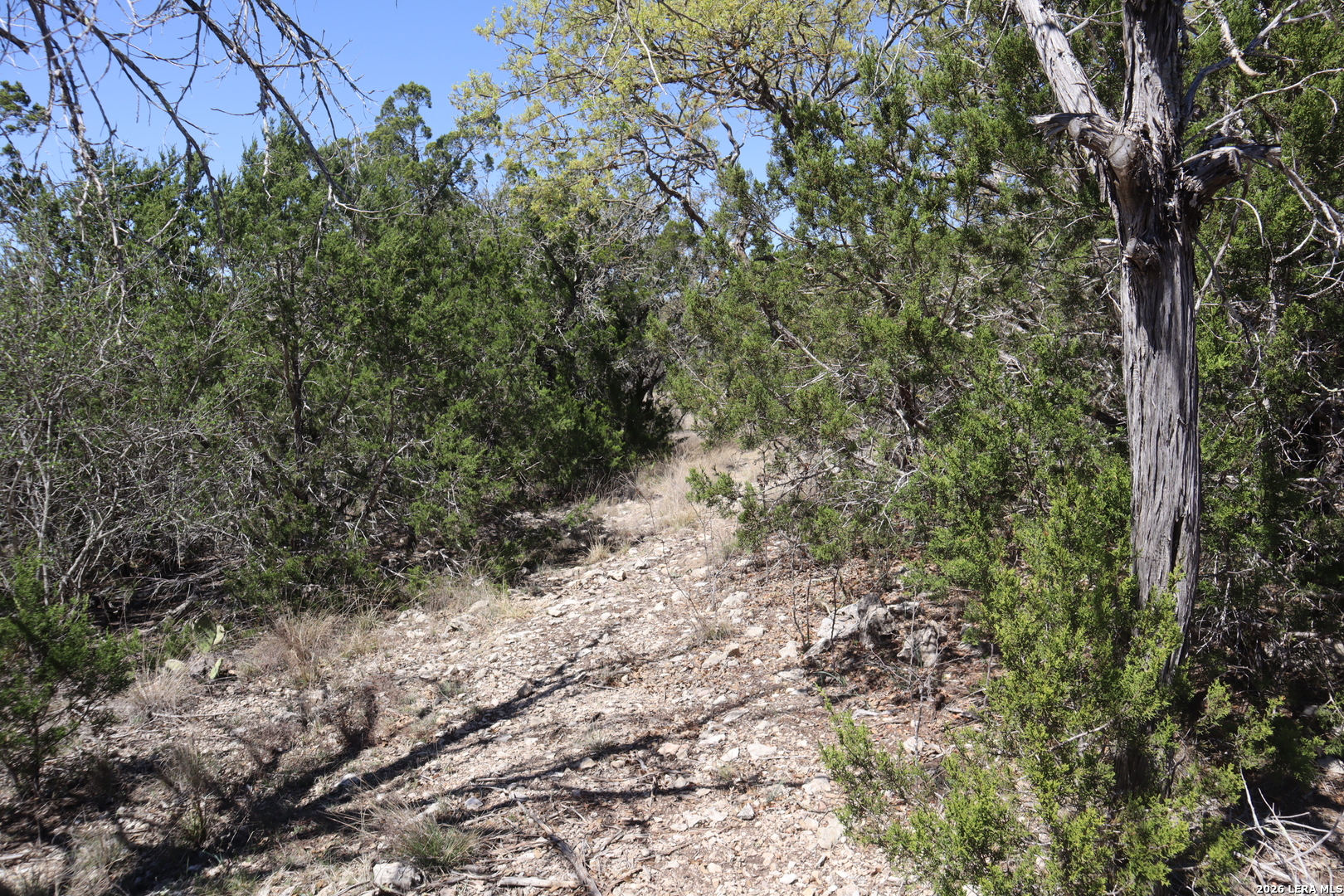 462 Schenk-witkowski Rocksprings TX 78880