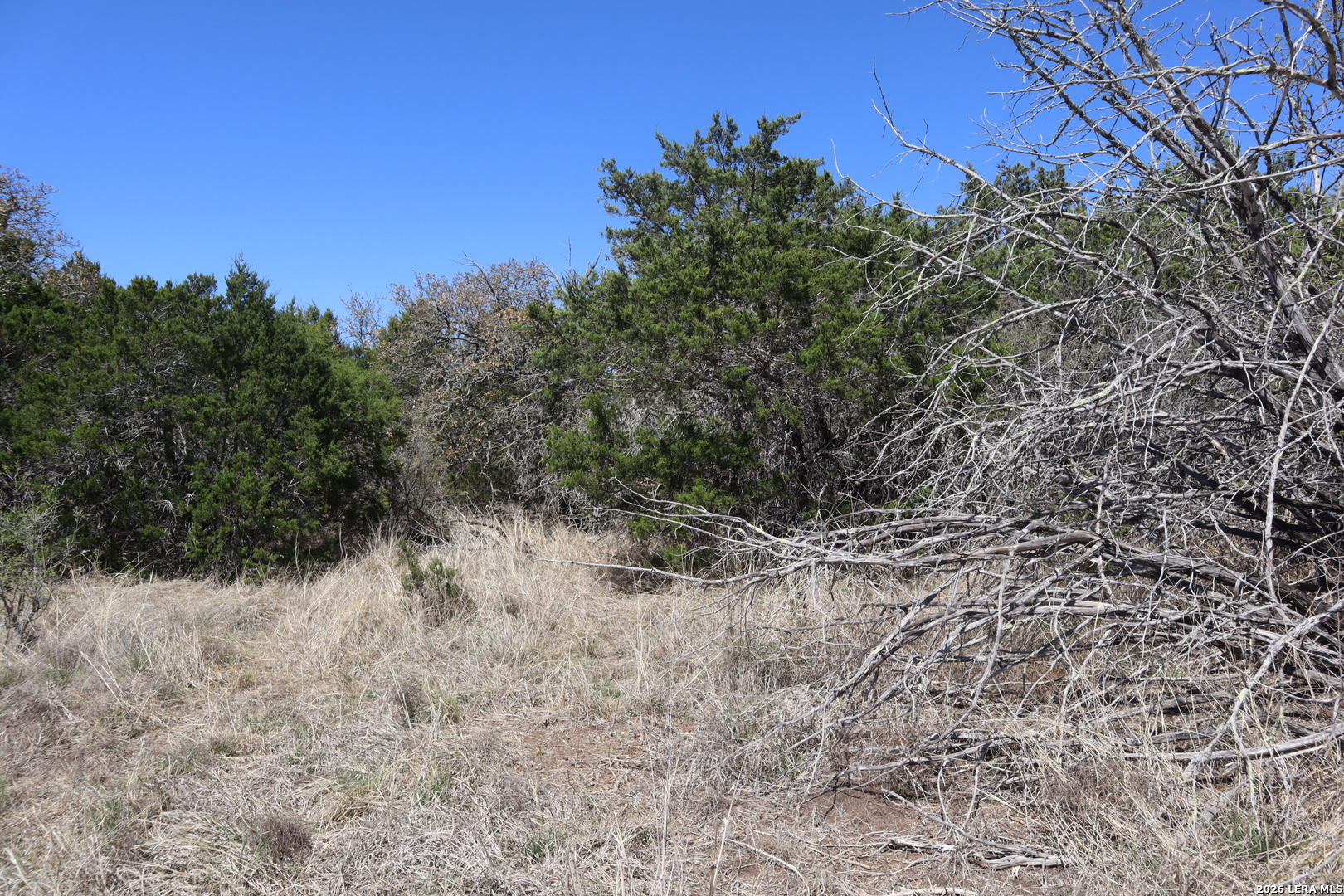 462 Schenk-witkowski Rocksprings TX 78880
