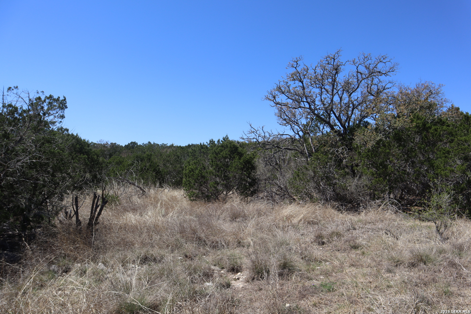462 Schenk-witkowski Rocksprings TX 78880