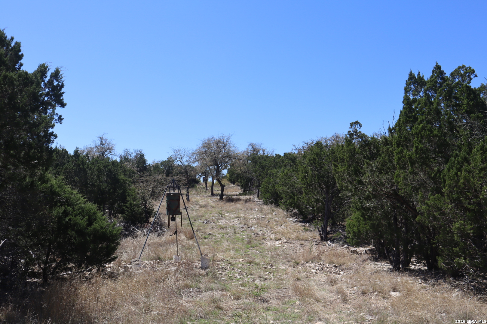 462 Schenk-witkowski Rocksprings TX 78880