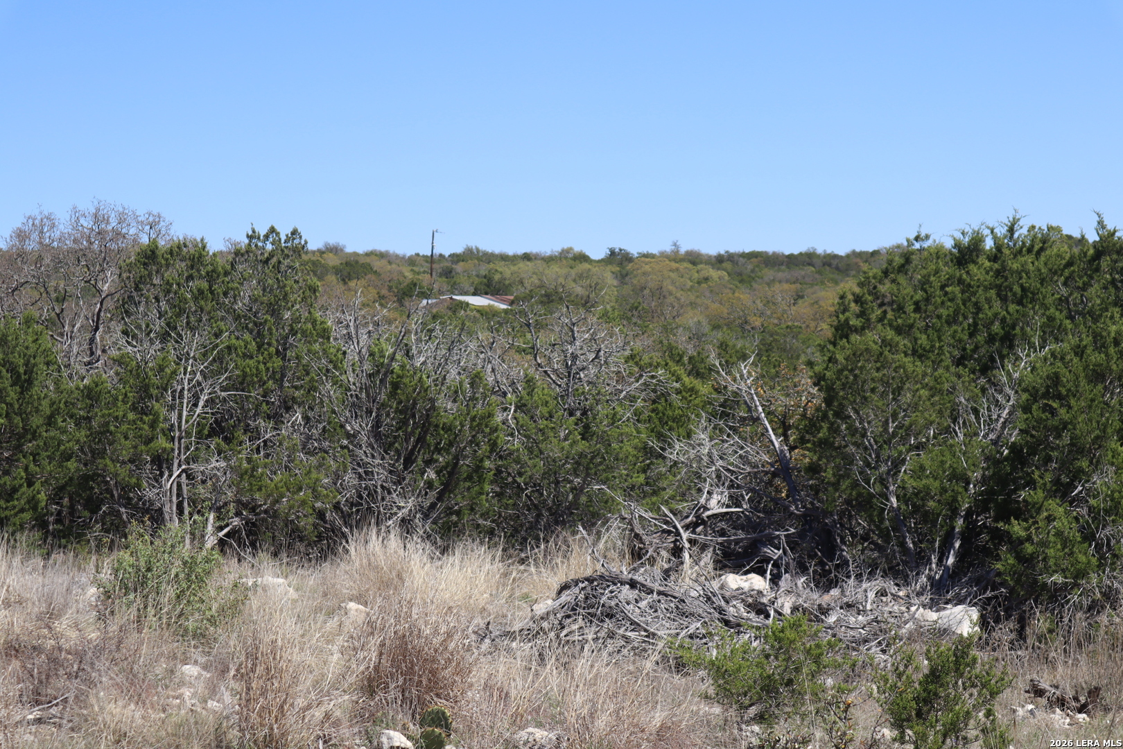 462 Schenk-witkowski Rocksprings TX 78880