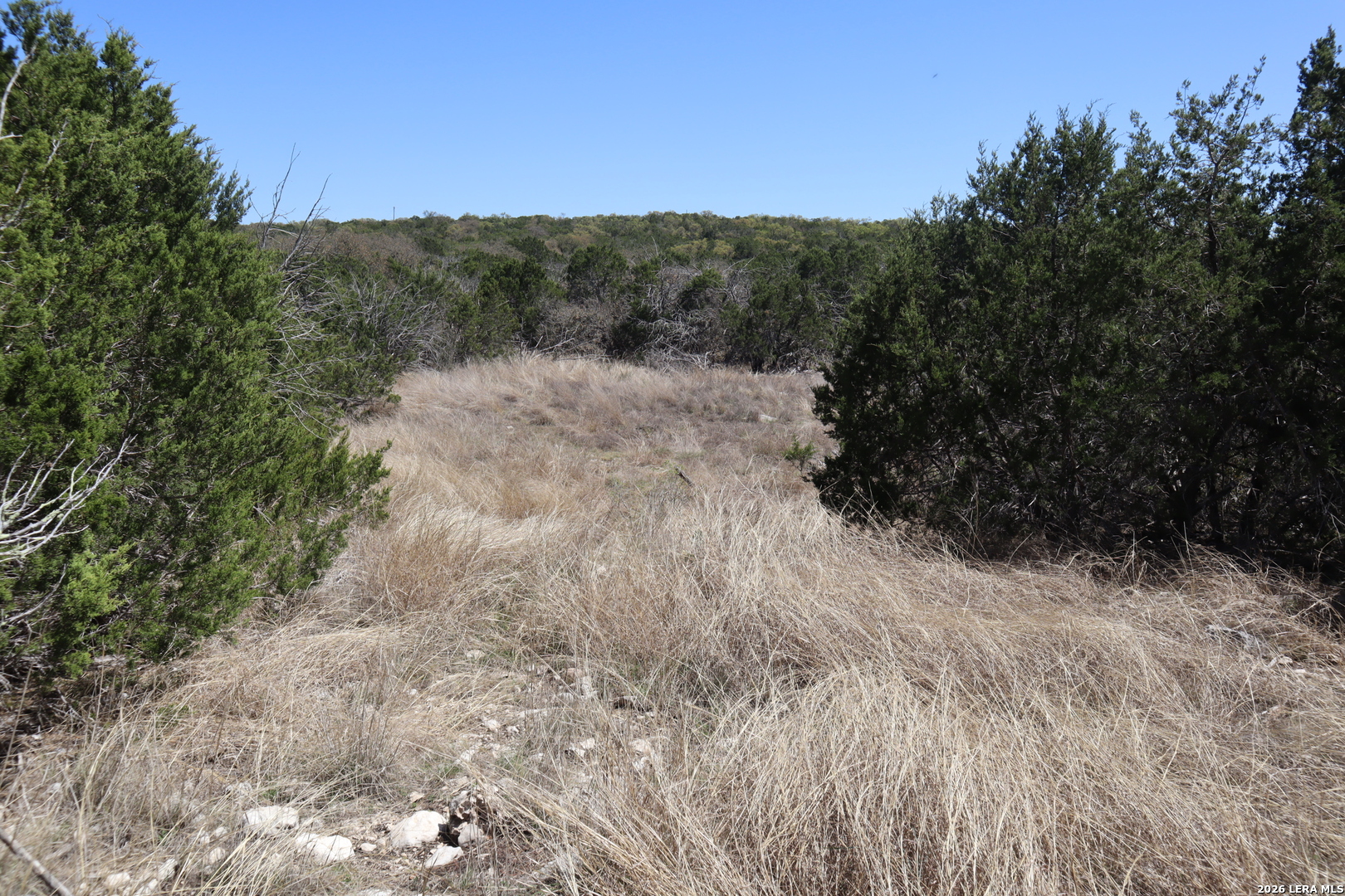 462 Schenk-witkowski Rocksprings TX 78880