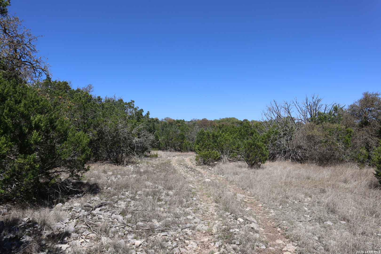 462 Schenk-witkowski Rocksprings TX 78880