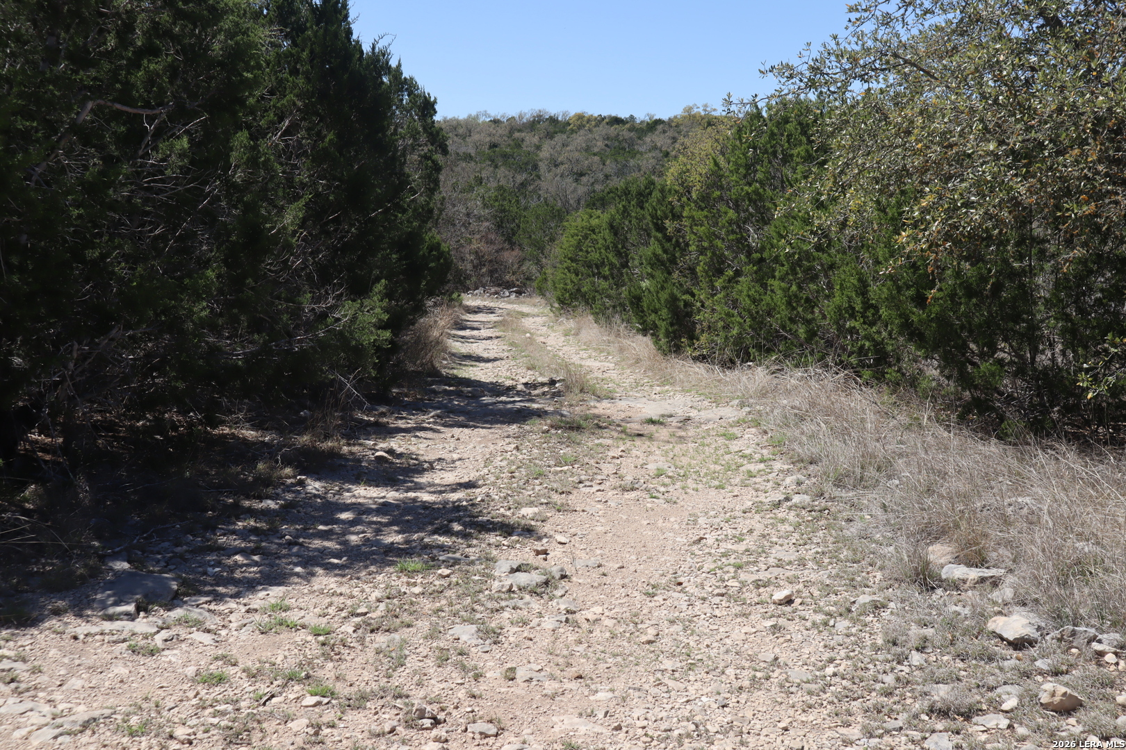462 Schenk-witkowski Rocksprings TX 78880
