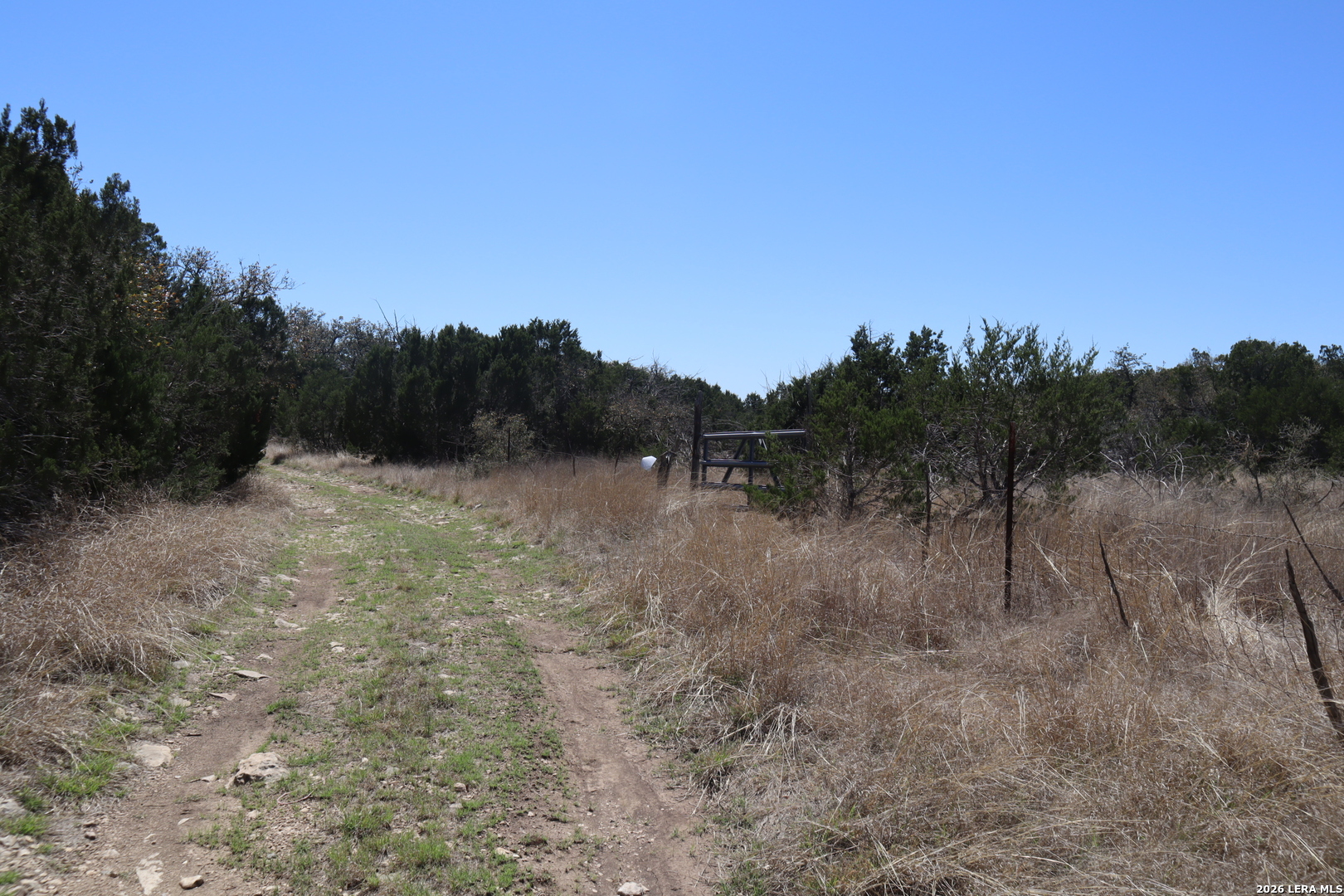 462 Schenk-witkowski Rocksprings TX 78880